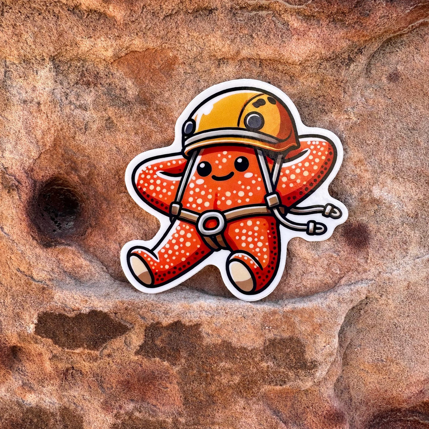 Crag Starfish - Sticker