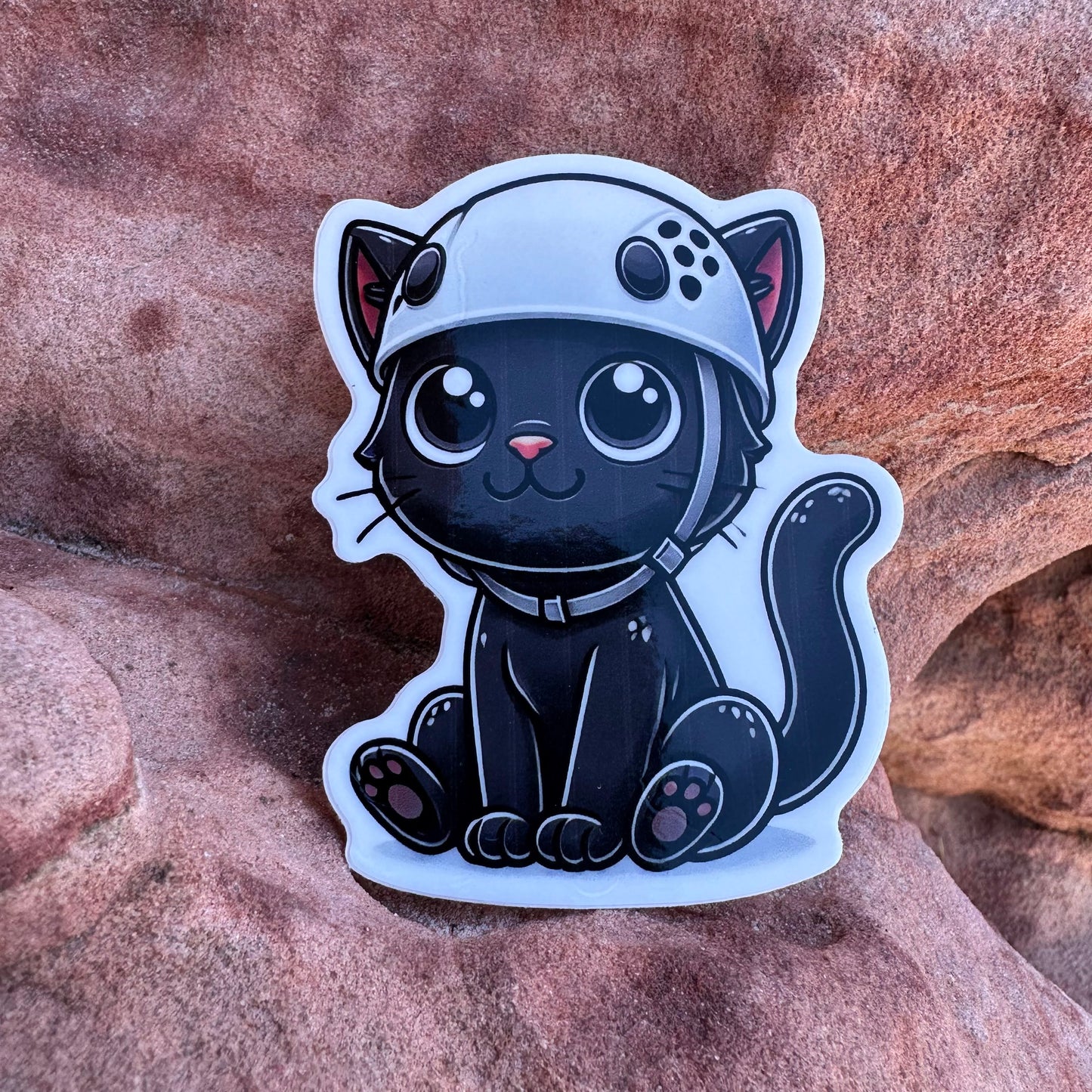Felsige Schwarze Katze